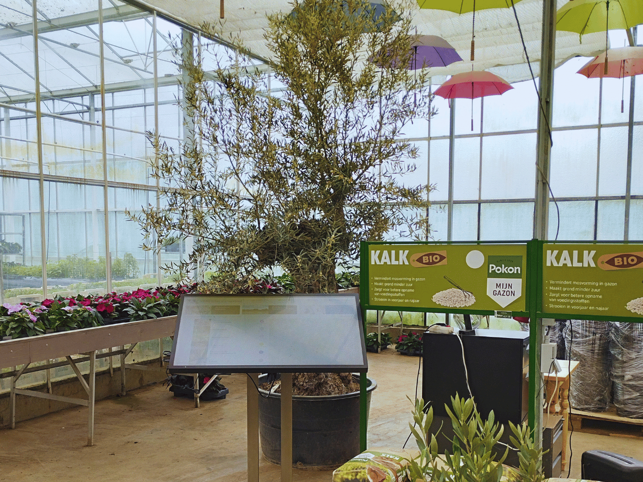 Beeldscherm Van Bezoeker Tot Onderzoeker