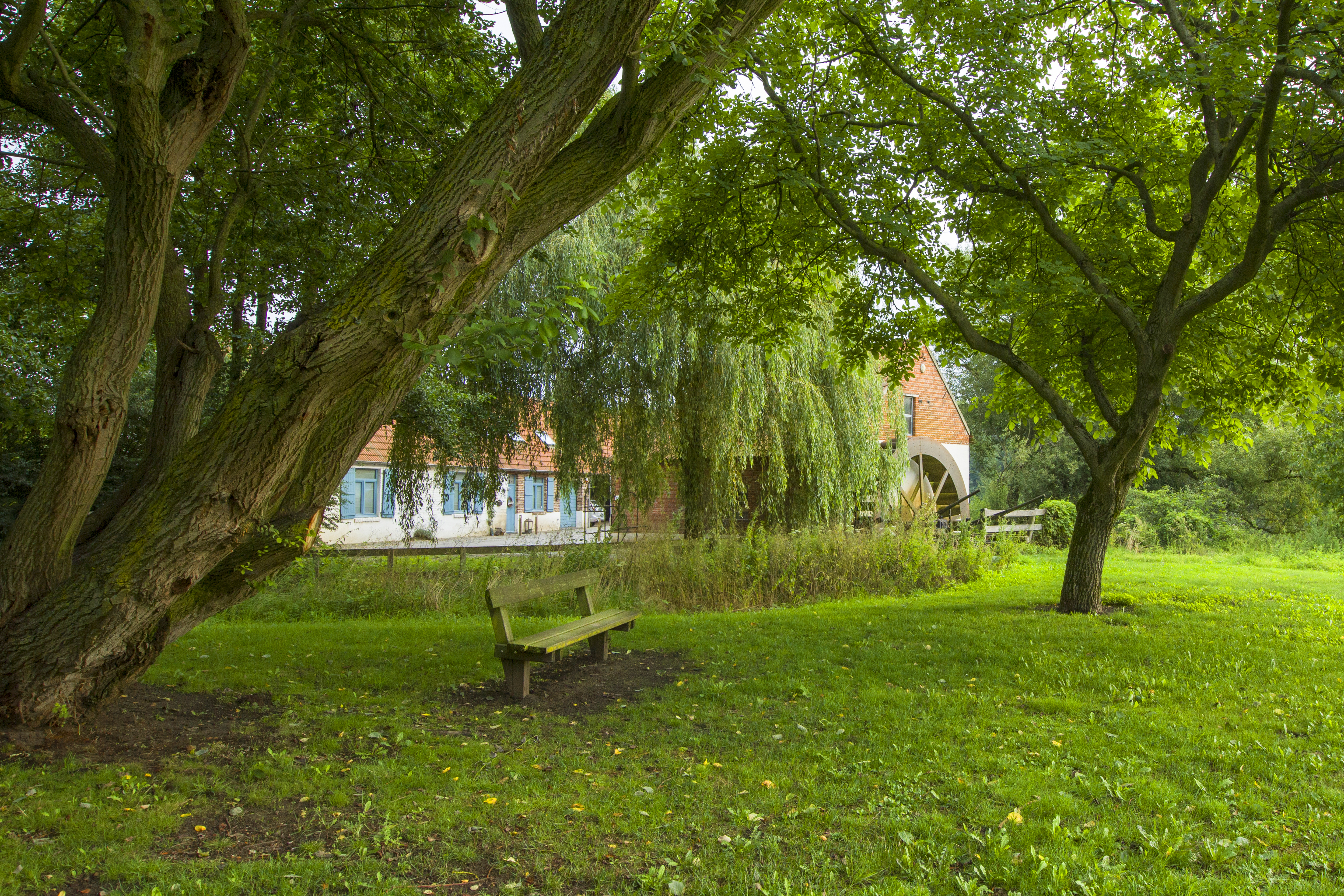 A watermill is hidden behind the trees