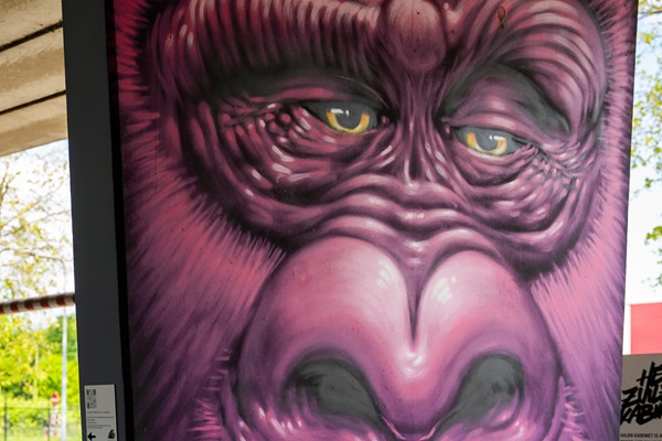 Mural van een paarse gorilla bij het Zuilenkabinet in Weert