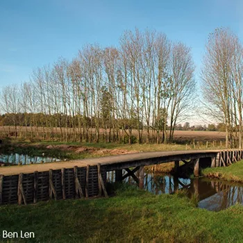 Romeinse brug in Grenspark Kempen-Broek