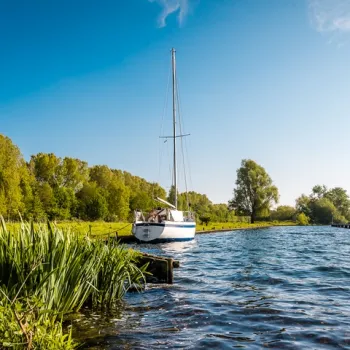Zeilboot aangemeerd langs een groene oever met riet, bomen en helder blauw water onder een zonnige hemel.