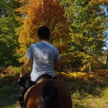 Buitenrit stap eens uit je comfortzone 10.000 stappen