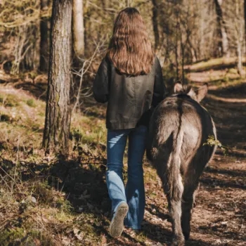 Wandelen met ezels
