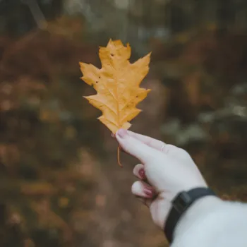 Herfst in het leudal